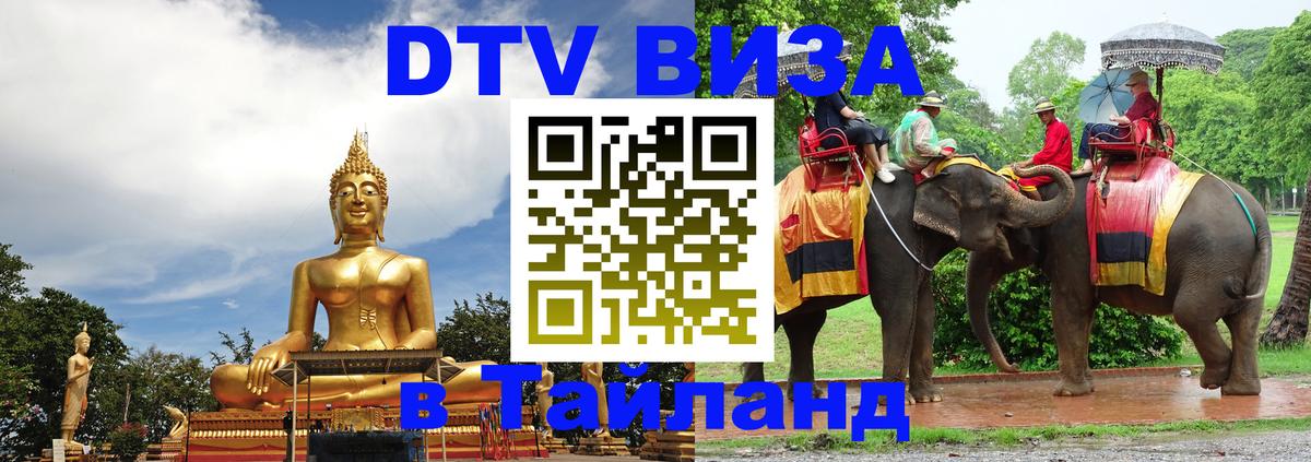 Оформление DTV визы под ключ: стоимость и тарифы, только загранпаспорт - 18.11.2025 